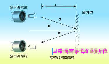 青青草成人在线原理-山東青青草视频污免费下载