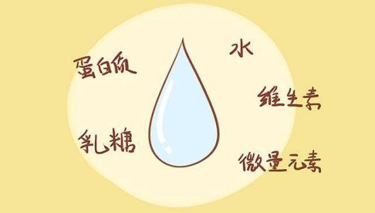 超聲青青草成人在线簡述寶寶幾個月斷奶好